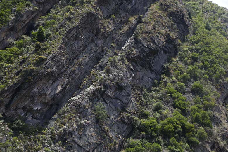 Contemplez le paysage