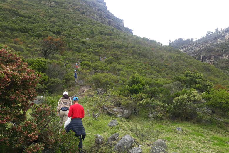 Découvrez de la nature sauvage de Sutatausa