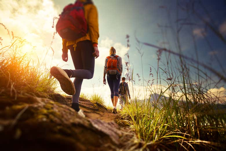 Recorriendo los caminos en grupo
