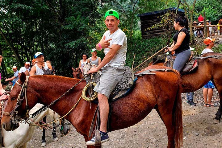 Conhecendo os equinos