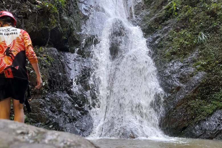 Contemplando a selva de Tobia
