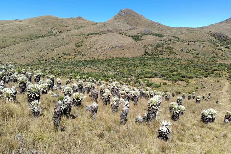 Panorámica del páramo de Ocetá
