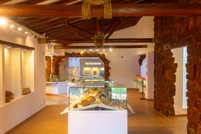 Museo del Fósil de Villa de Leyva