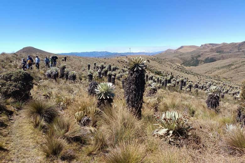 Paisajes del páramo de Ocetá