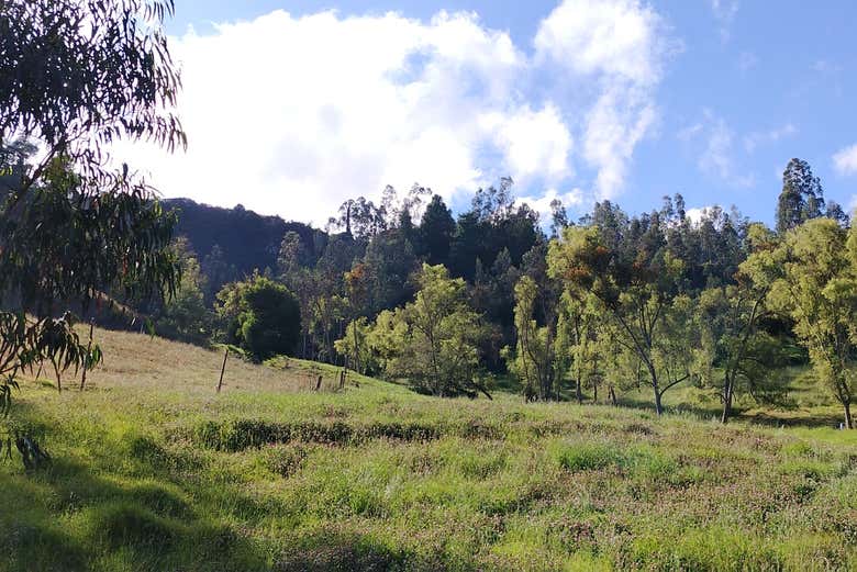 Paisagem natural nos arredores de Turmequé