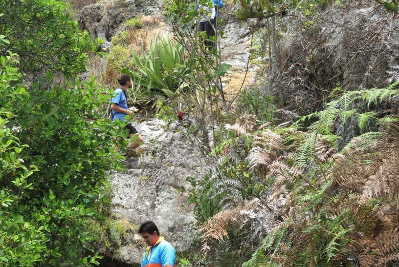 Beautiful natural scenery