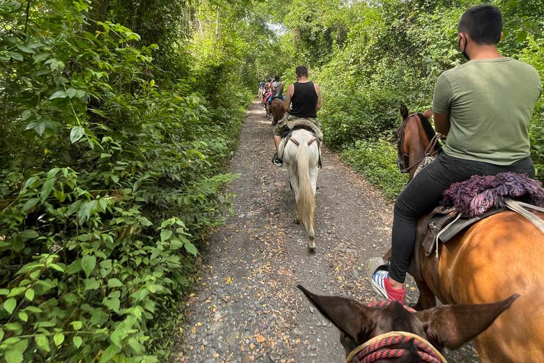 Passeio a cavalo pelas paisagens de Útica