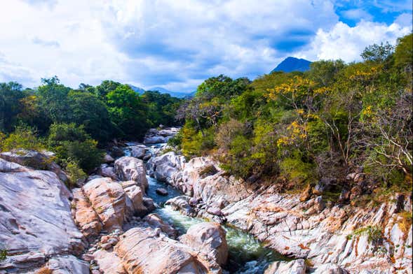Sierra Nevada de Santa Marta Rivers Private Day Trip