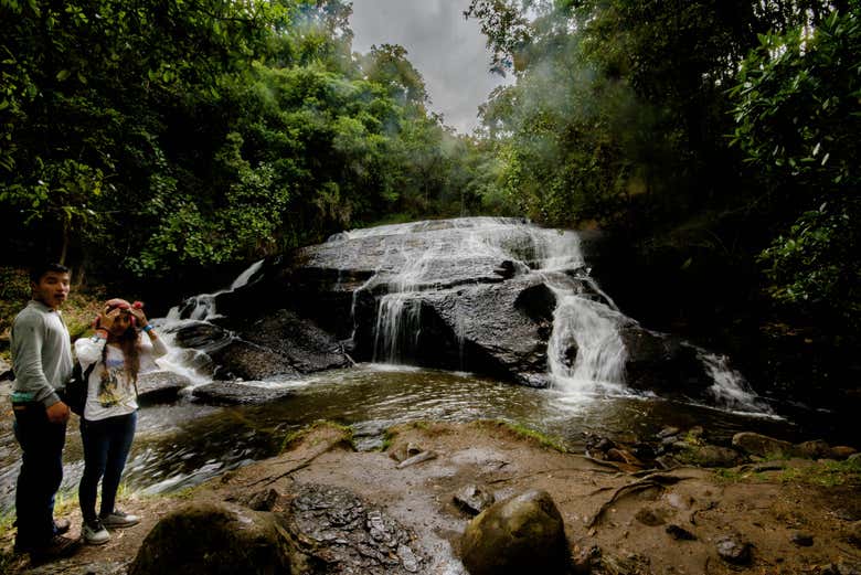 Descubriendo La Periquera