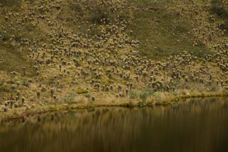Laguna sagrada de Iguaque