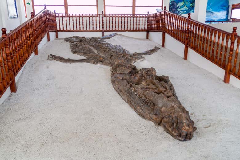 Museo El Fósil