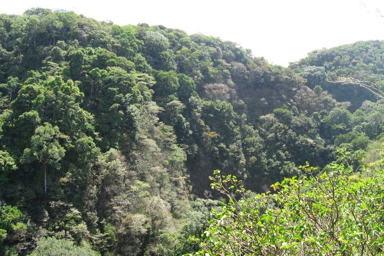 Valle Escondido