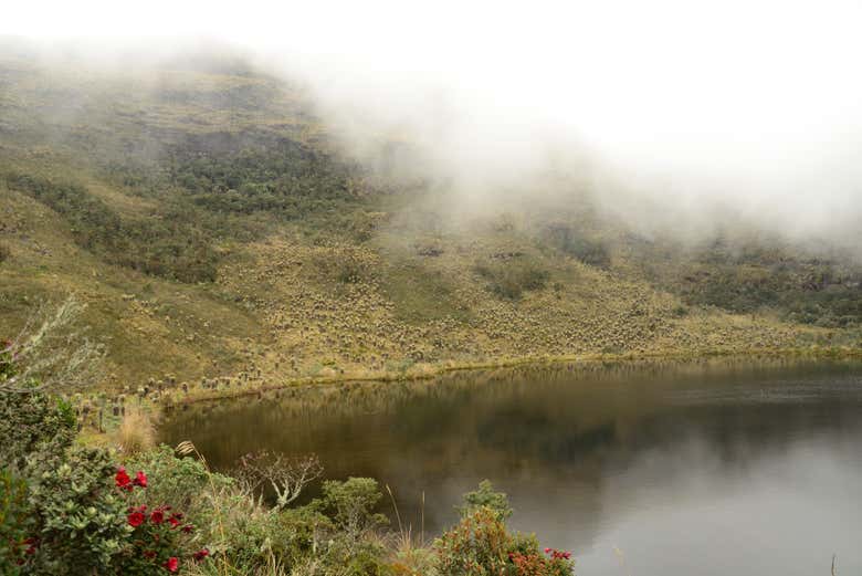 Laguna de Iguaque