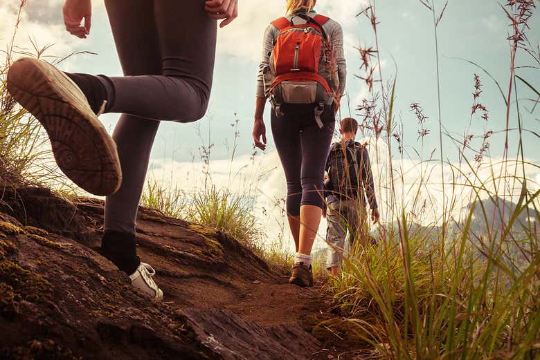 Caminando por el bosque