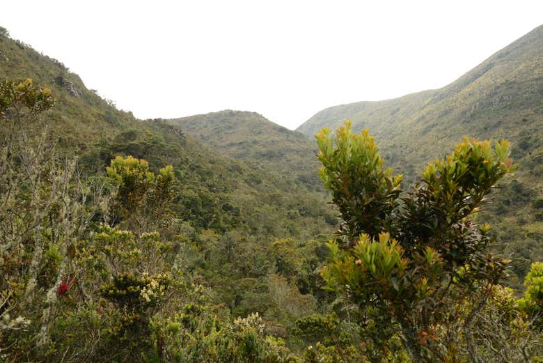 Disfrutando de los bellos parajes