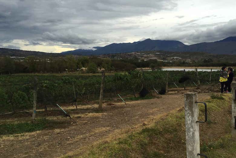 Vides del Marqués de Villa de Leyva