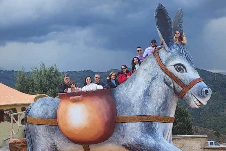 Durante la actividad