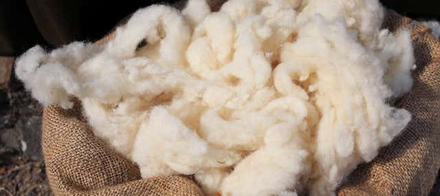 Oficina de lã + Valle Escondido