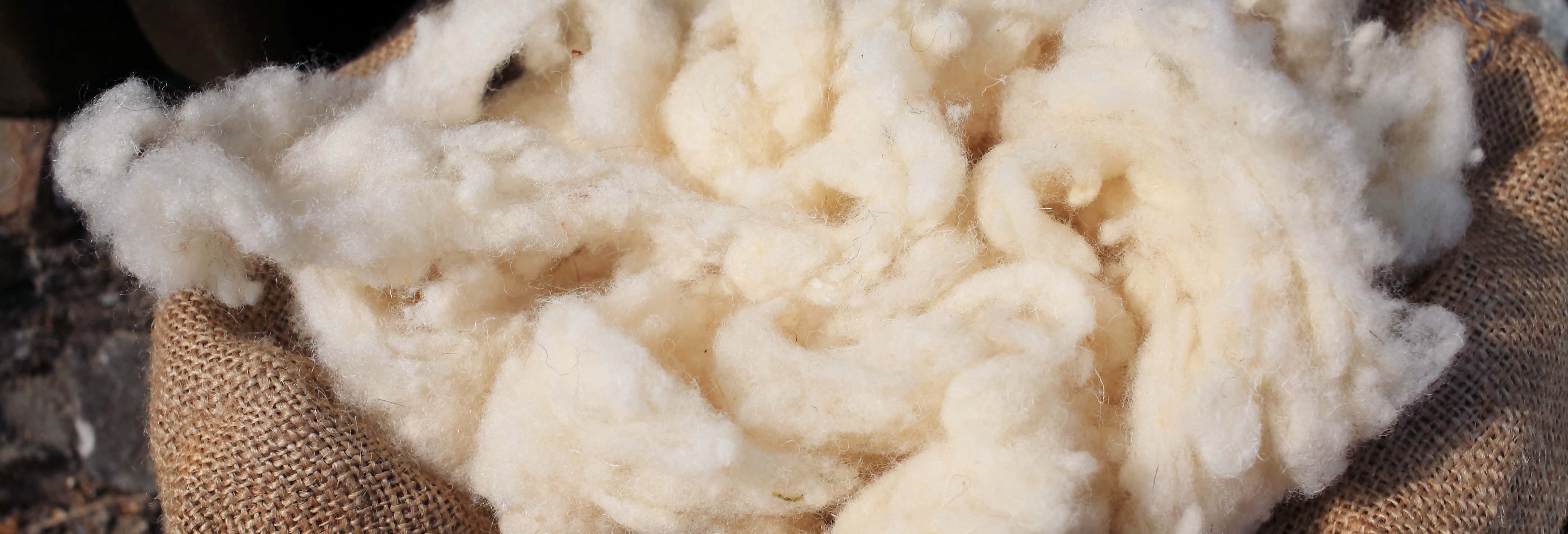 Excursões de um dia em Villa de Leyva