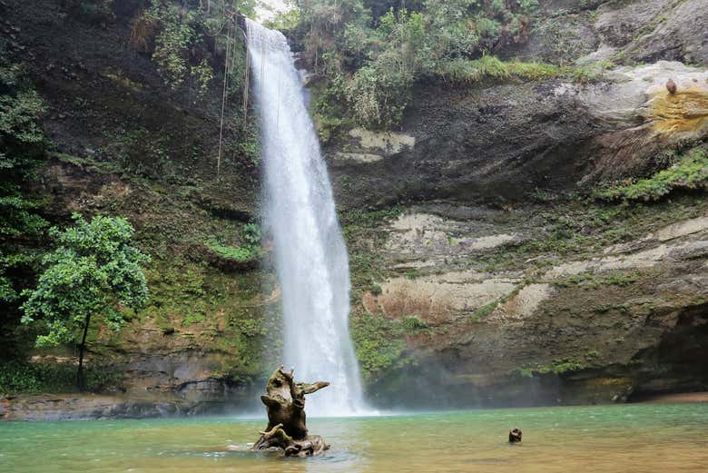 Cascada Caracas