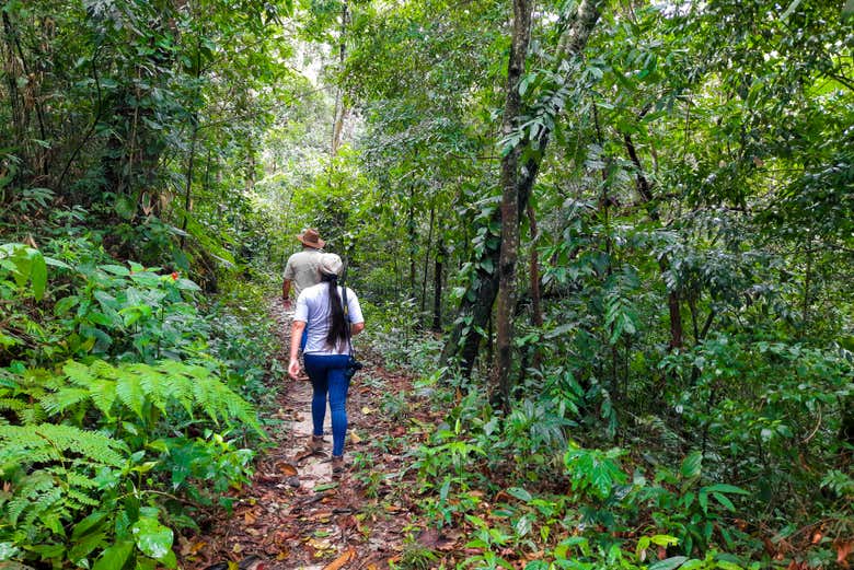 Recorriendo los senderos en busca de aves autóctonas