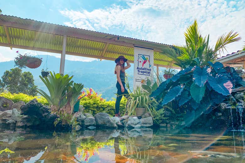 Visitaremos una finca cafetera de Lejanías