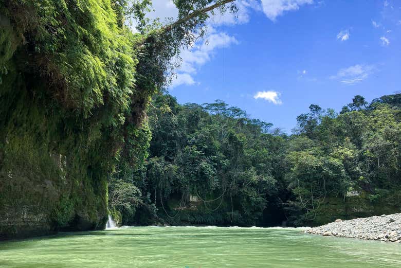 Vegetación que rodea el río Güejar