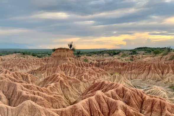 Excursão ao deserto de Tatacoa + Observação de estrelas