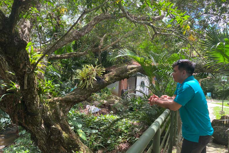 Contemplando los alrededores de Casa Bohemia