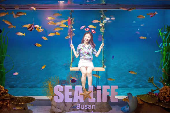 Busan Aquarium Tickets