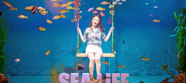 Billet pour l'aquarium de Busan