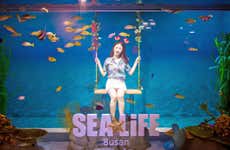 Billet pour l'aquarium de Busan
