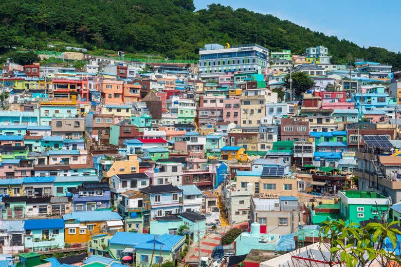 Check out the colorful houses in the Gamcheon Culture Village