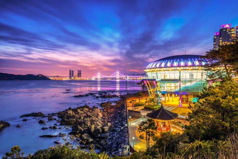 La isla Dongbaek, un rincón de ensueño