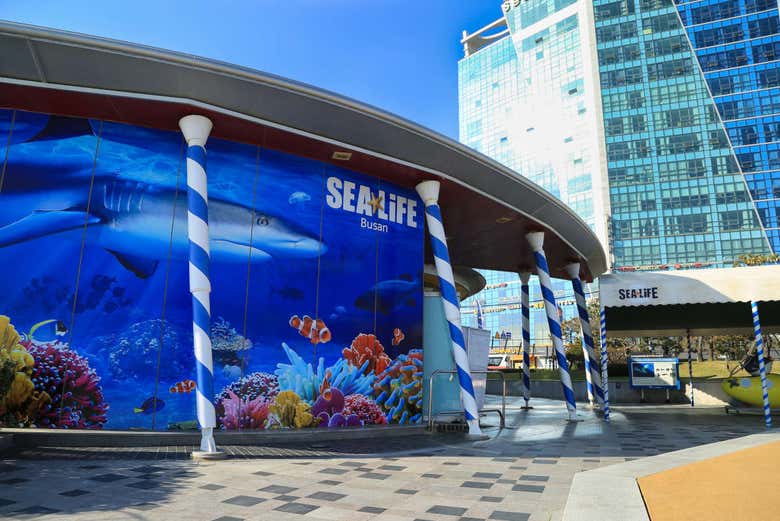 Sea Life Aquarium Busan