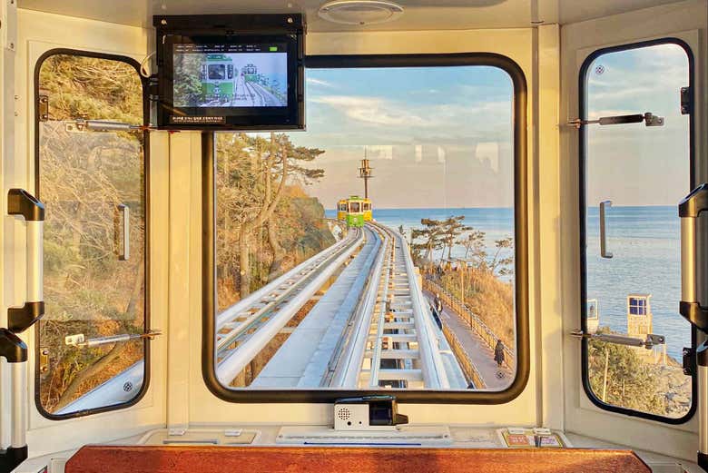 Admire views from the tram