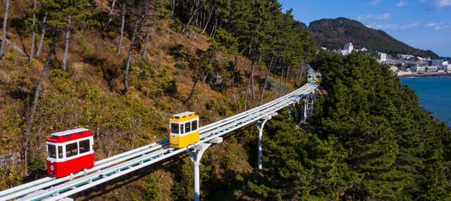 Busan Tram Tour