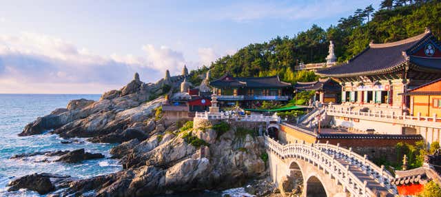 Visita guiada por Busan