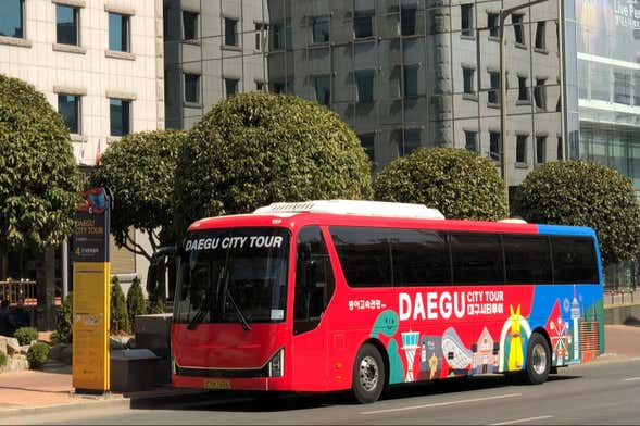 Daegu Tourist Bus
