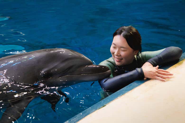 Você desfrutará do espetáculo Aqua Story