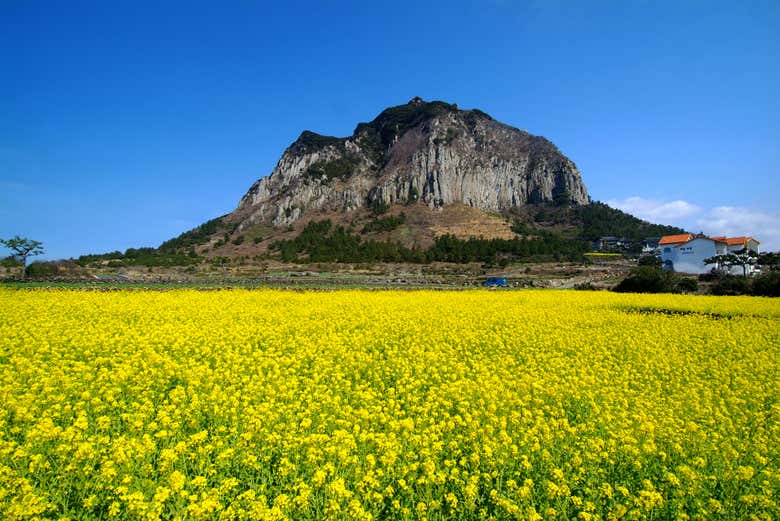 Tempio Bomunsa a Sanbangsan