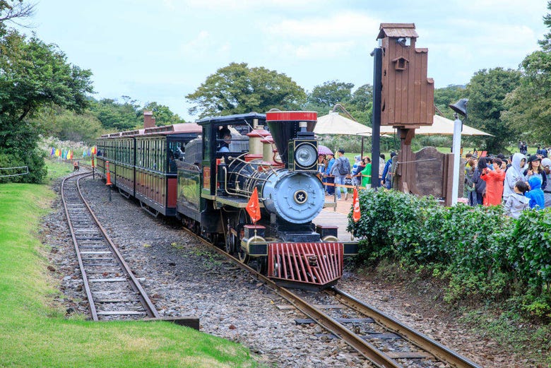 Steam train in Ecoland