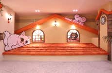 Billet pour le café Roof Cat Me