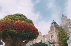Excursão a Everland