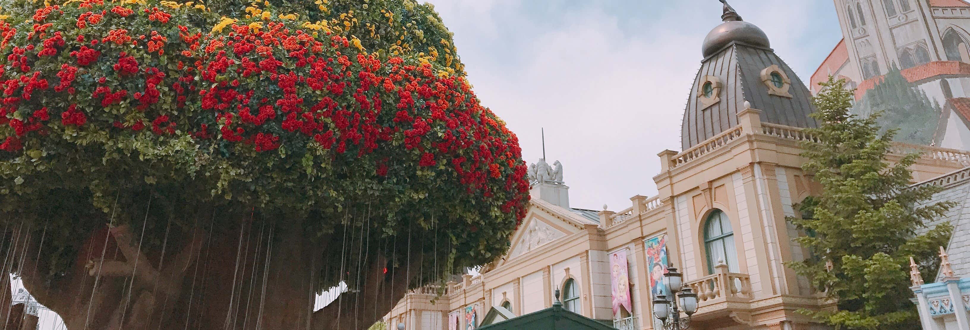 Day trips in Seoul