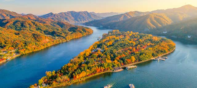 Nami Island Day Trip