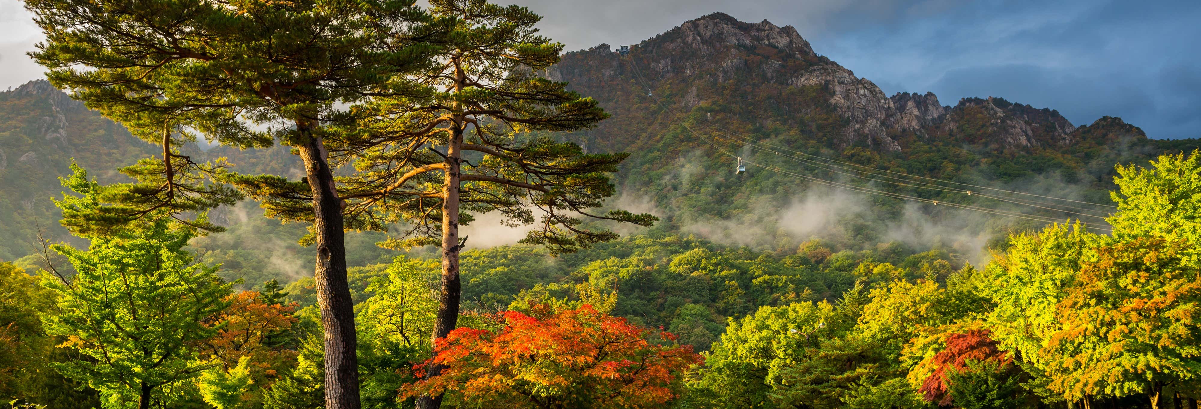 Excursiones de un día en Seúl