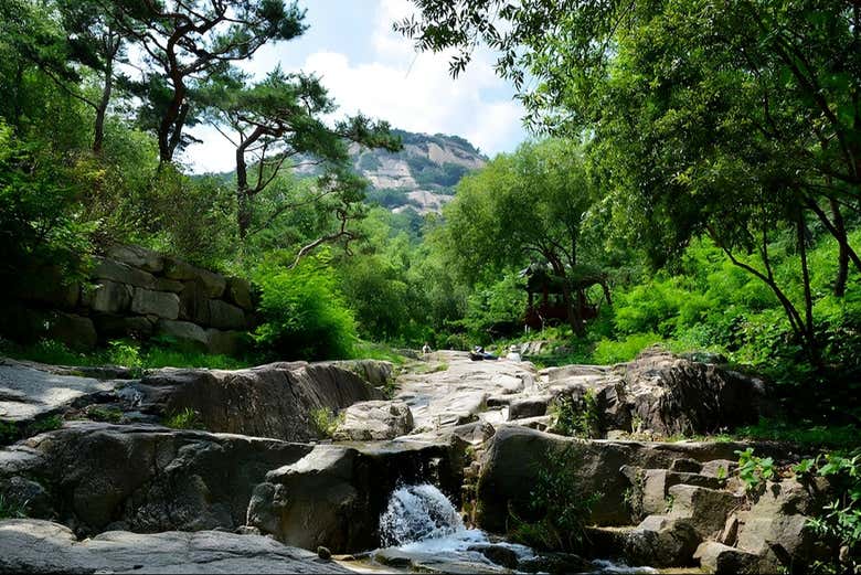 Paisaje natural junto al arroyo de Suseongdong