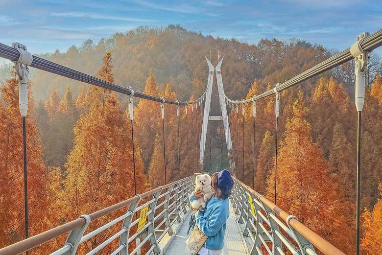 Foto rodeados de naturaleza en Jeonju