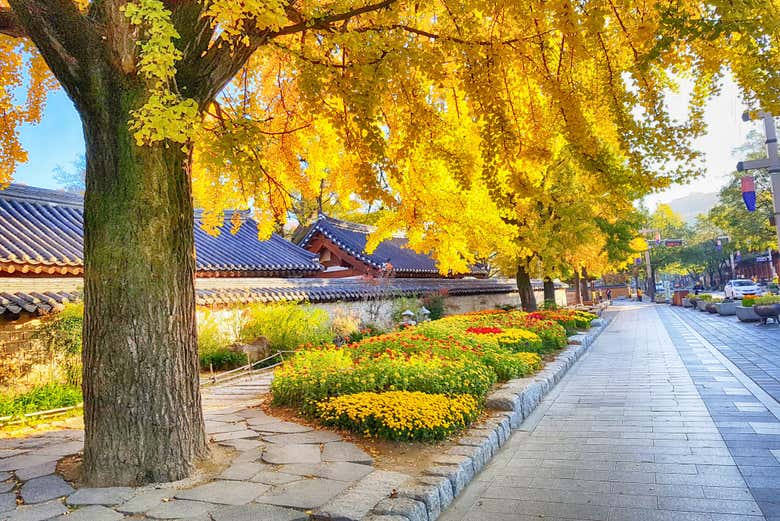 Vegetación colorida en las calles de Jeonju